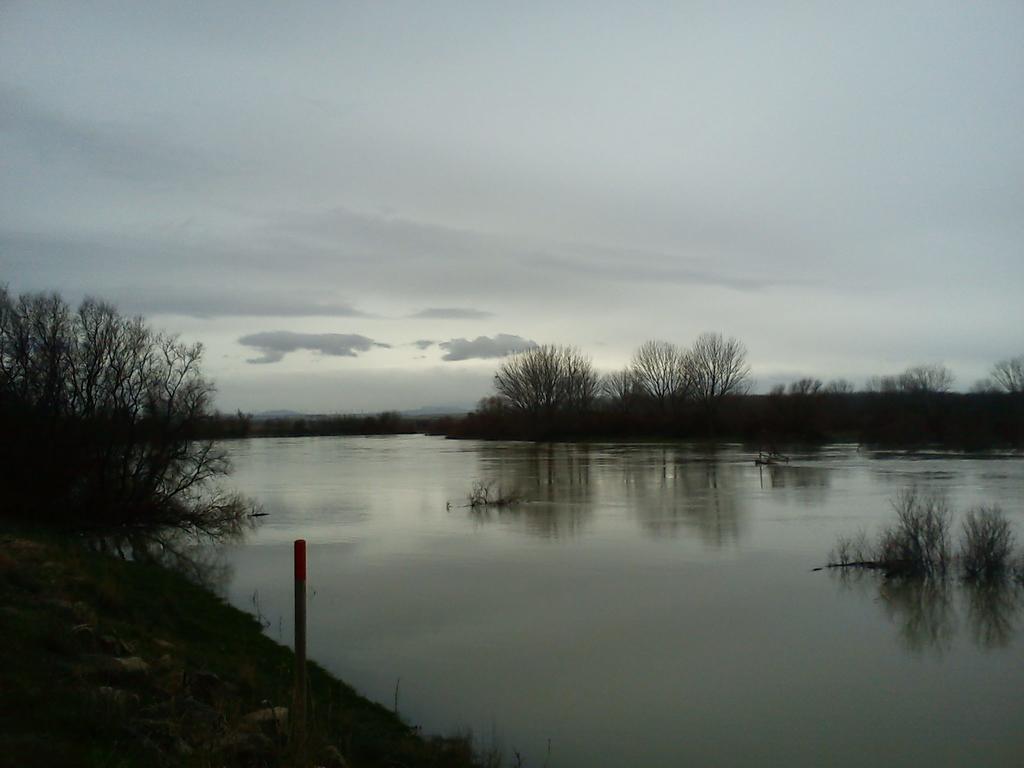 La Palmera De La Insula Alcala de Ebro Extérieur photo