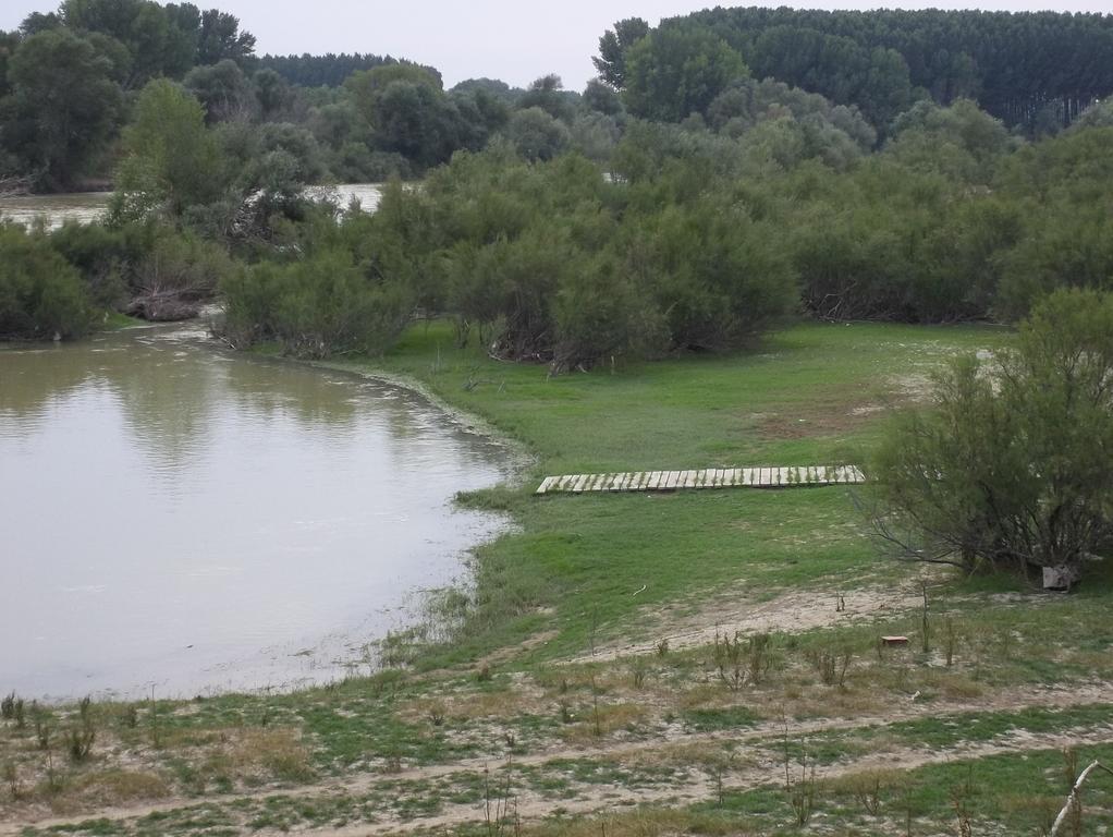 La Palmera De La Insula Alcala de Ebro Extérieur photo