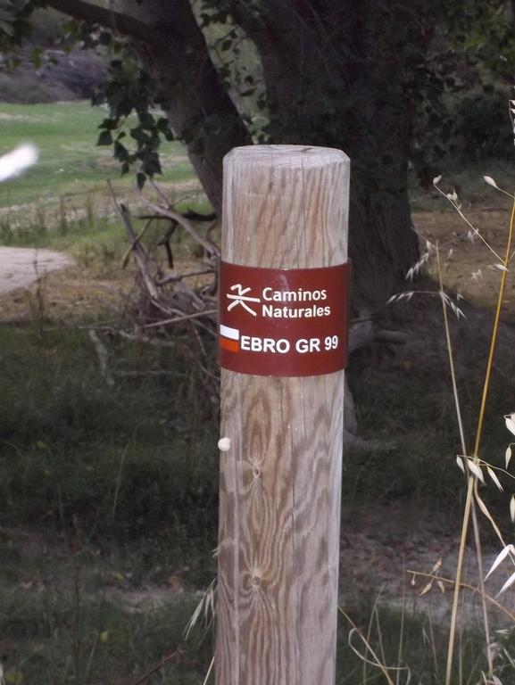 La Palmera De La Insula Alcala de Ebro Extérieur photo